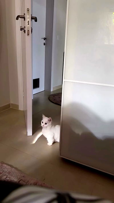 strawberryshanz strawberryshanz archive video