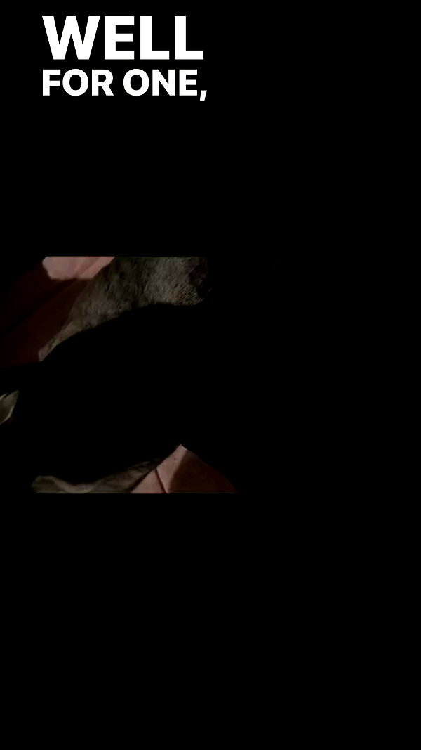 romxcohen archive video preview