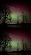 yasminhilde_ Altpins Profile Picture