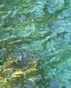 solzarubin_ Altpins Profile Picture