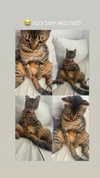 hellokittyangel666 Altpins Profile Picture