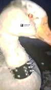 amatveyko Altpins Profile Picture