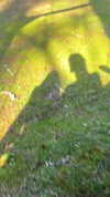 elizabethcampbelljones Altpins Profile Picture