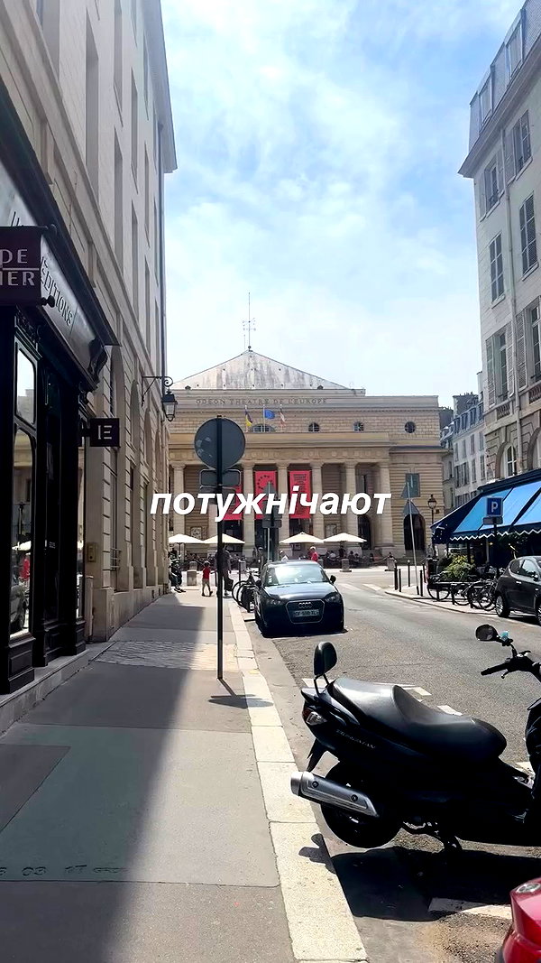 _allvi.pansk archive video preview