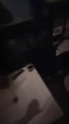 shayli_or Altpins Profile Picture