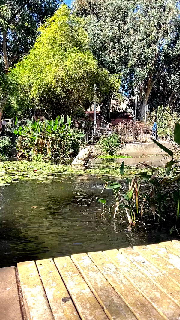 emily.otaku archive video preview