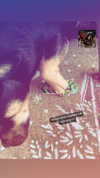 reanidays.cos Altpins Profile Picture