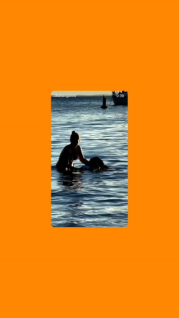 dianavgalvis archive video preview