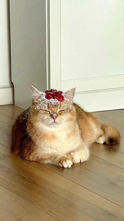 itsilanosh itsilanosh archive video