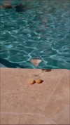 katehudson Altpins Profile Picture