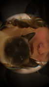 s111y_ccc0nt3 Altpins Profile Picture