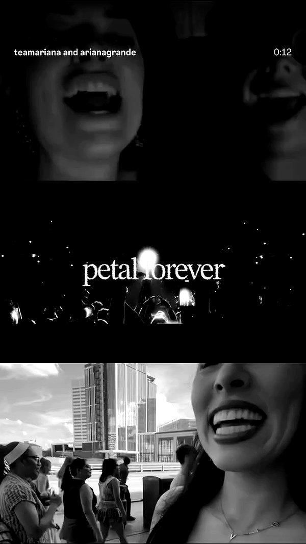 arianagrande archive video preview