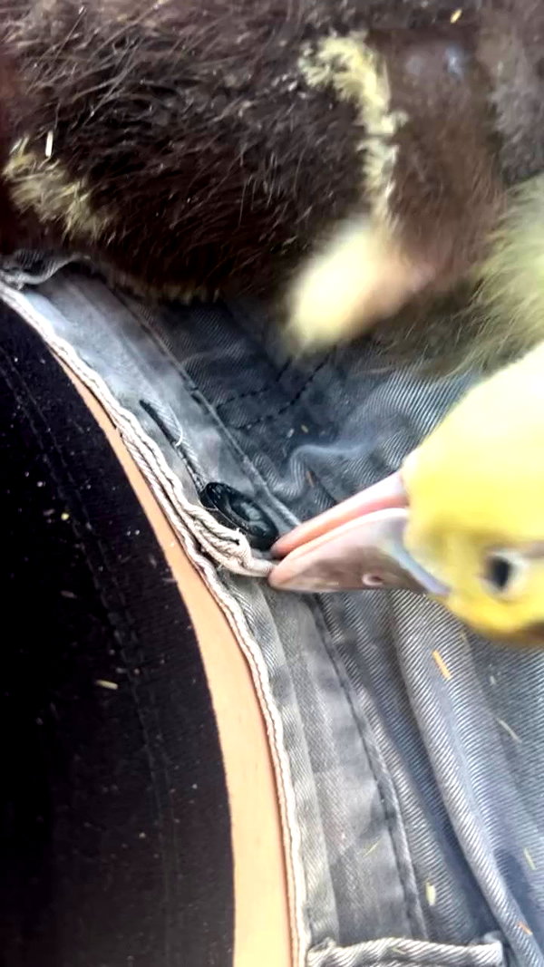 feelbetterinmysweater archive video preview