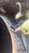 feelbetterinmysweater Altpins Profile Picture