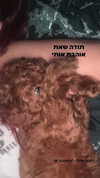 agam._.harel Altpins Profile Picture