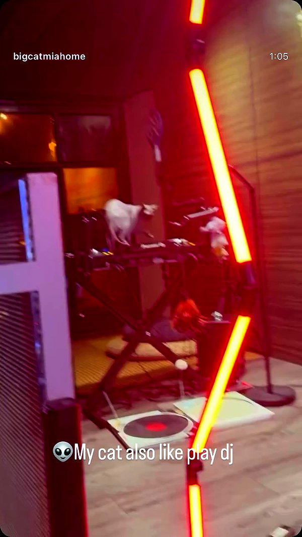 darkstar_mia archive video preview