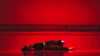 suspiria.em Altpins Profile Picture