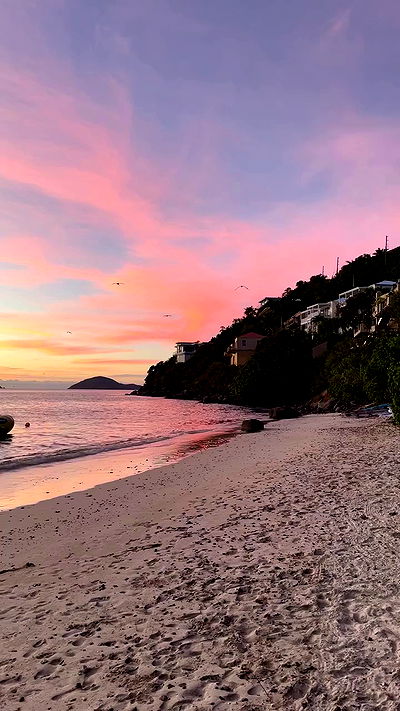 taylor.creeden taylor.creeden archive video