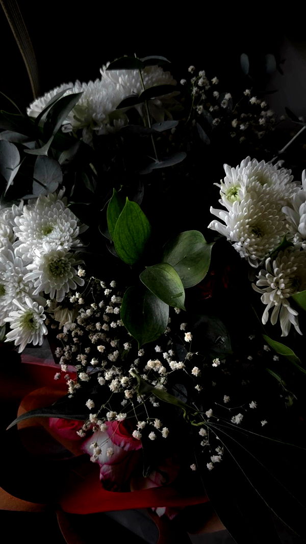 dustheadd archive video preview