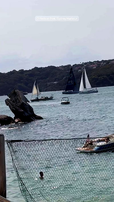 taylor.creeden taylor.creeden archive video