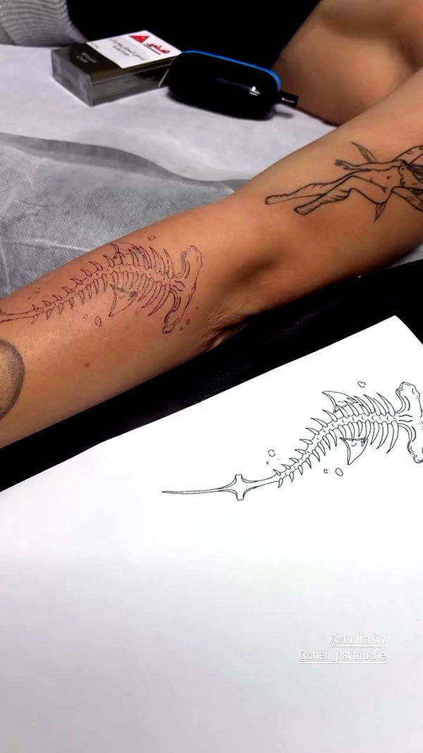 bar.tattss archive video preview