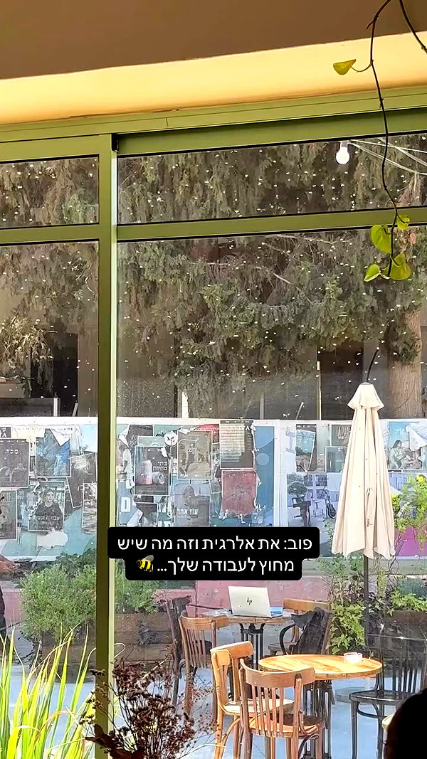 laluzone archive video preview