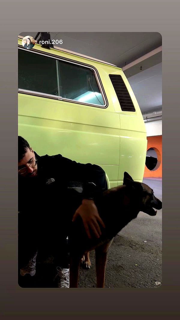 assoolin archive video preview