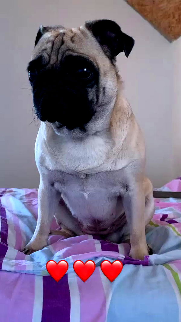 nyityam archive video preview