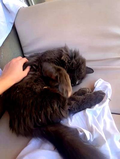 kitty.elliss kitty.elliss archive video