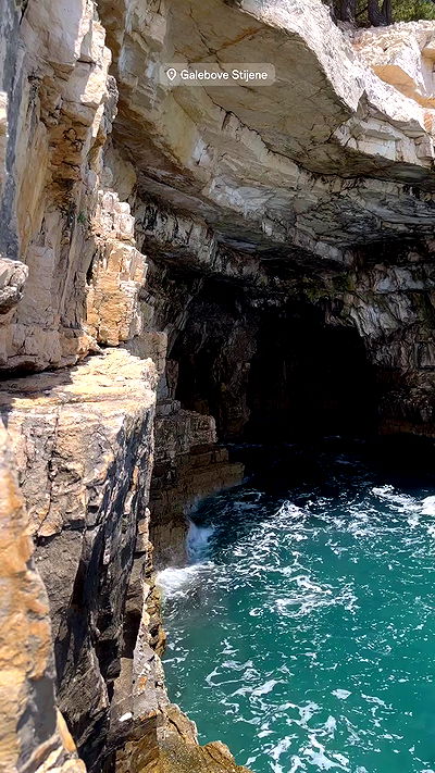 taylor.creeden taylor.creeden archive video