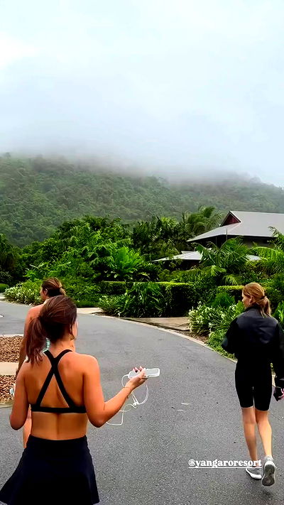 taylor.creeden taylor.creeden archive video