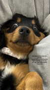 mor_amgar Altpins Profile Picture