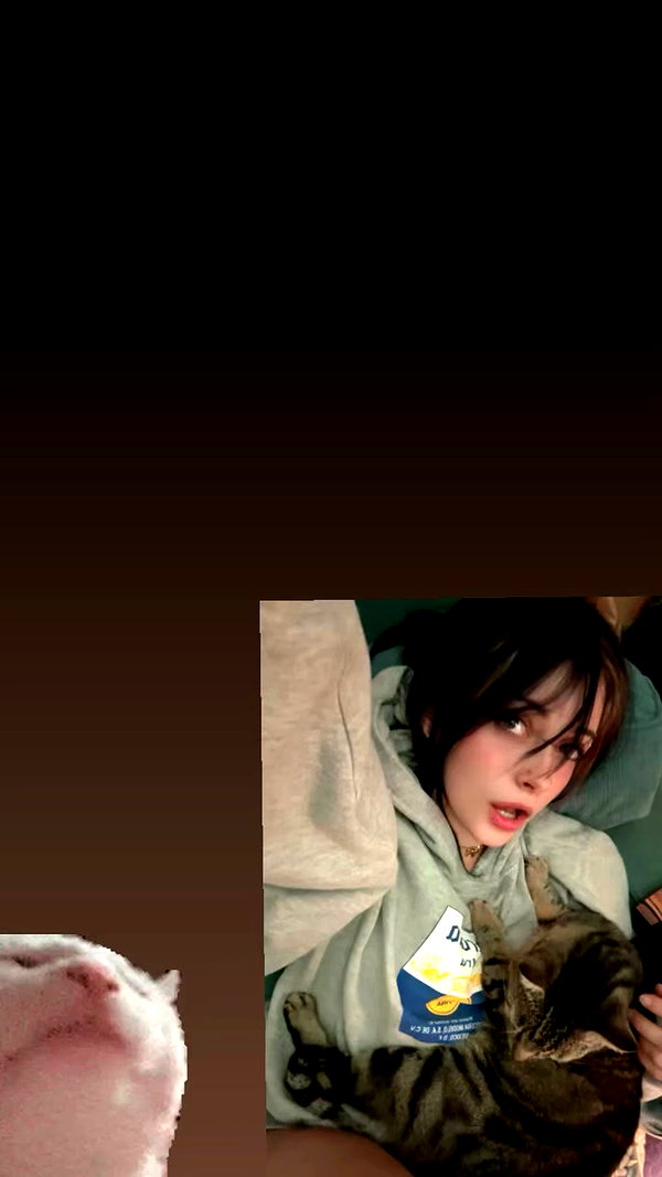 _kinzxy archive video preview