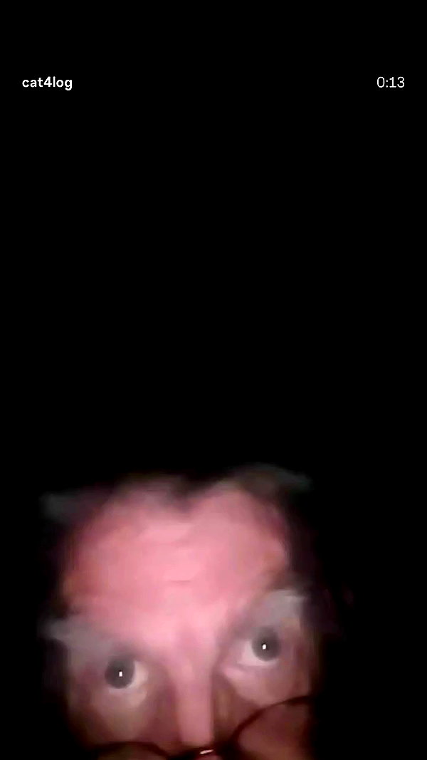 avitallllllllllllllll archive video preview