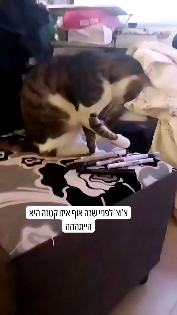 moonyyyya archive video preview