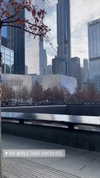 vanessa.rhd Altpins Profile Picture