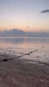 michal_cohen017 Altpins Profile Picture