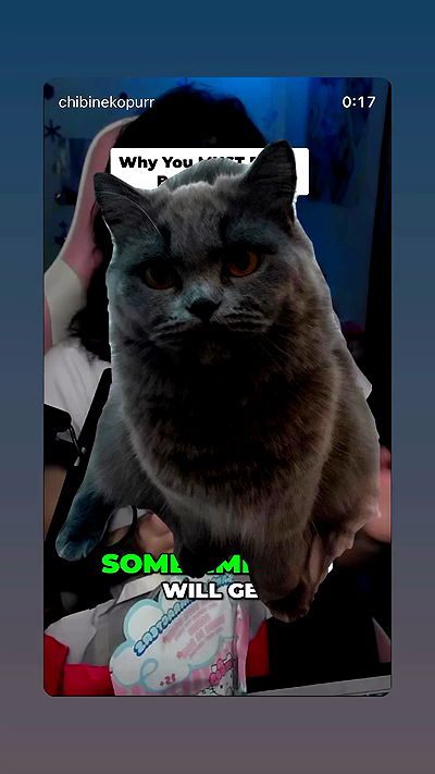 chibinekopurr chibinekopurr archive video