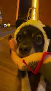 darkstar_mia Altpins Profile Picture