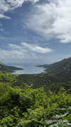 rouxroux.tv Altpins Profile Picture