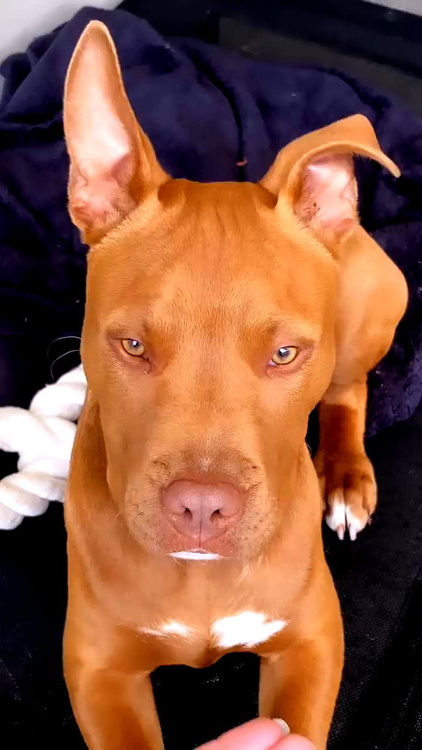 olivia.mathers archive video preview