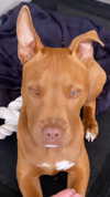 olivia.mathers Altpins Profile Picture