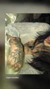 zommmbri Altpins Profile Picture