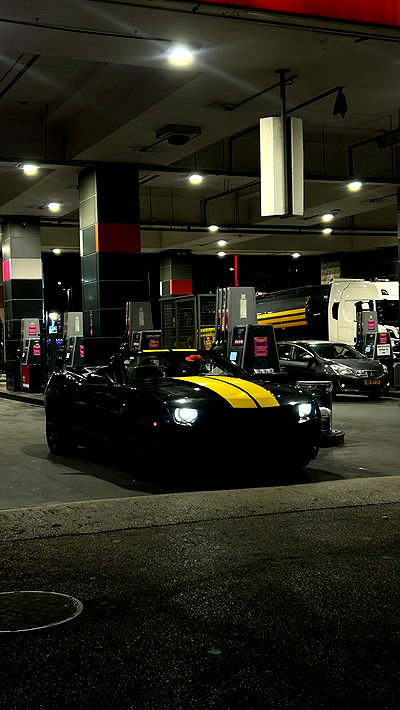 simp_for_cats_ simp_for_cats_ archive video