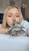 lilih Altpins Profile Picture