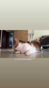 jiw_____n Altpins Profile Picture