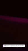 avrillavigne Altpins Profile Picture