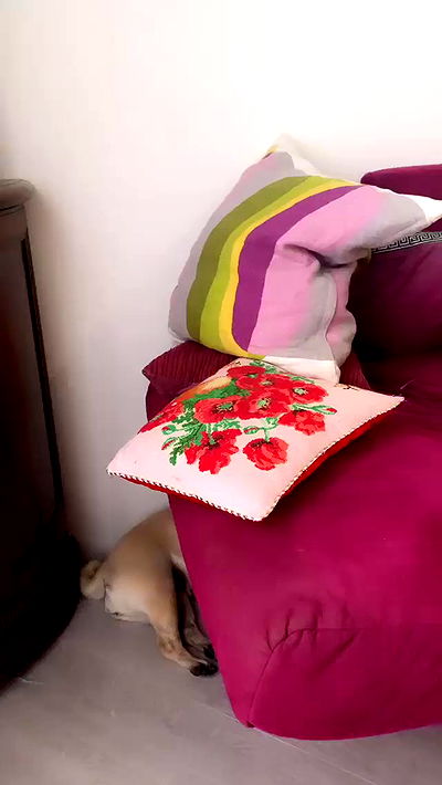 nyityam nyityam archive video