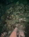 lollinski Altpins Profile Picture