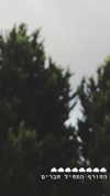 evasela__ Altpins Profile Picture
